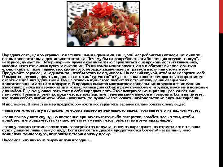 Нарядная елка, щедро украшенная стеклянными игрушками, мишурой и серебристым дождем, конечно же, очень привлекательна