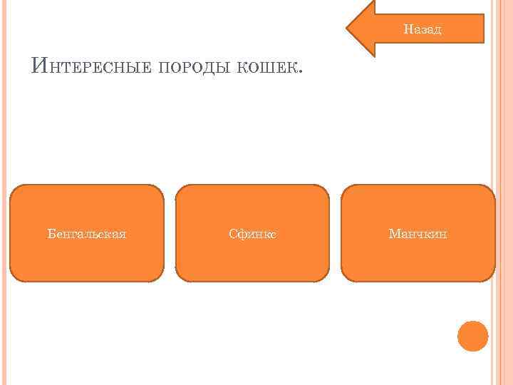 Назад ИНТЕРЕСНЫЕ ПОРОДЫ КОШЕК. Бенгальская Сфинкс Манчкин 