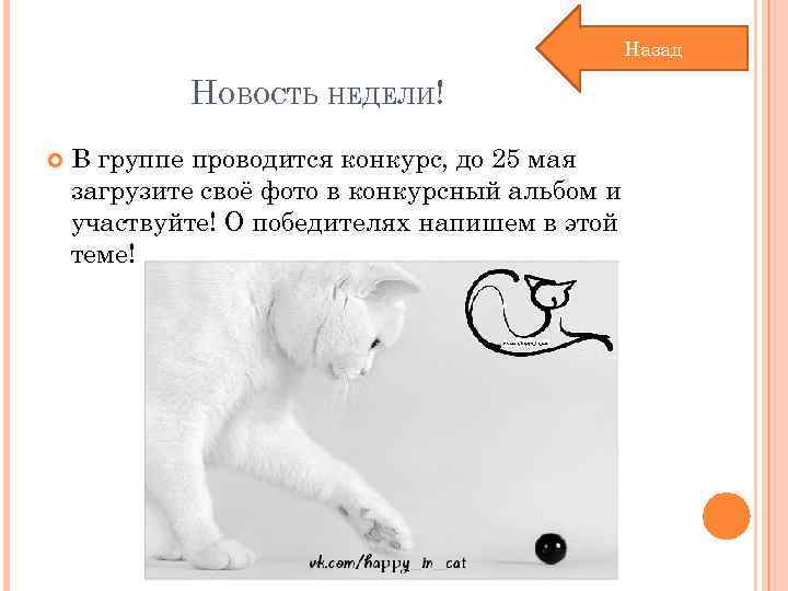 Назад НОВОСТЬ НЕДЕЛИ! В группе проводится конкурс, до 25 мая загрузите своё фото в