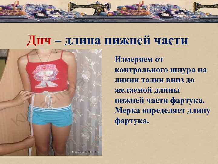 Днч – длина нижней части Измеряем от контрольного шнура на линии талии вниз до