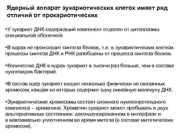 Ядерный аппарат эукариотических клеток имеет ряд отличий от прокариотических • У эукариот ДНК-содержащий компонент