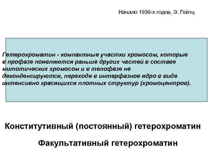 Начало 1930 -х годов, Э. Гейтц Гетерохроматин - компактные участки хромосом, которые в профазе