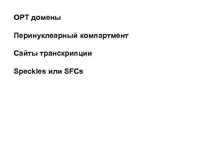 OPT домены Перинуклеарный компартмент Сайты транскрипции Speckles или SFCs 