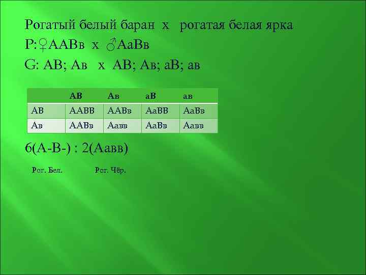 Схема аавв х аавв соответствует скрещиванию