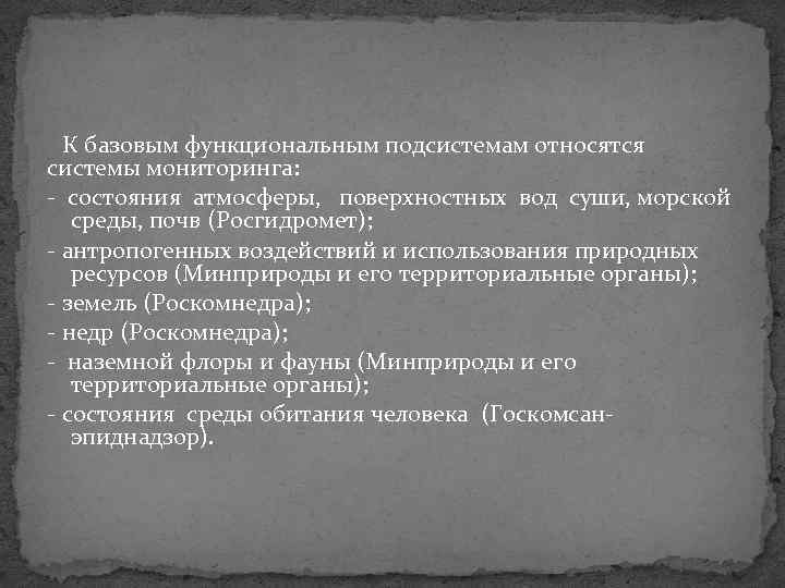 К базовым функциональным подсистемам относятся системы мониторинга: состояния атмосферы, поверхностных вод суши, морской среды,