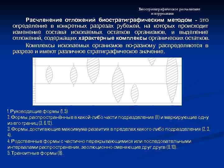 Биостратиграфическое расчленение и корреляция Расчленение отложений биостратиграфическим методом - это определение в конкретных разрезах