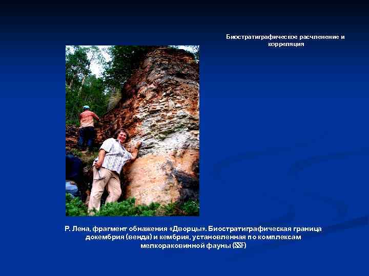 Биостратиграфическое расчленение и корреляция Р. Лена, фрагмент обнажения «Дворцы» . Биостратиграфическая граница докембрия (венда)