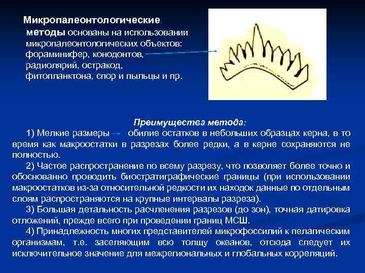 Микропалеонтологические методы основаны на использовании микропалеонтологических объектов: фораминифер, конодонтов, радиолярий, остракод, фитопланктона, спор и