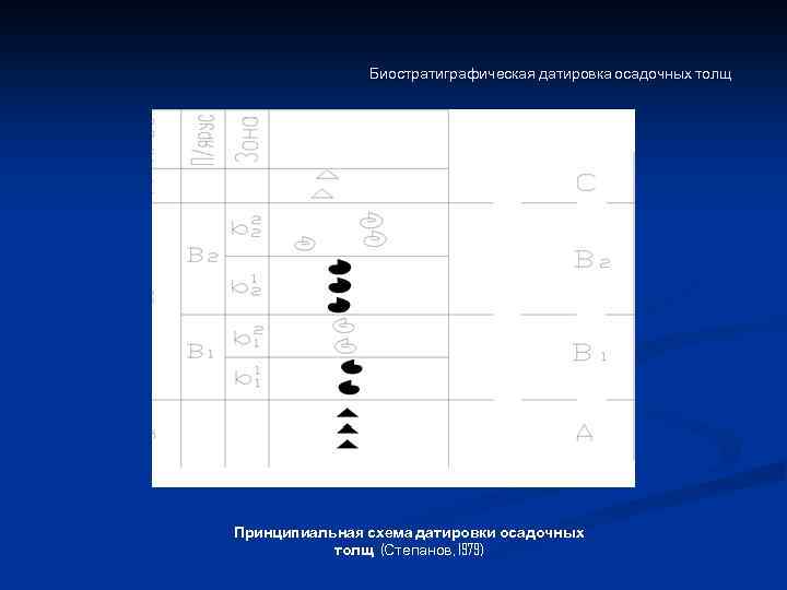 Биостратиграфическая датировка осадочных толщ Принципиальная схема датировки осадочных толщ (Степанов, 1979) 