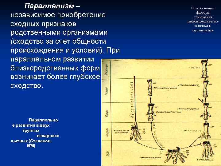 Параллелизм – независимое приобретение сходных признаков родственными организмами (сходство за счет общности происхождения и