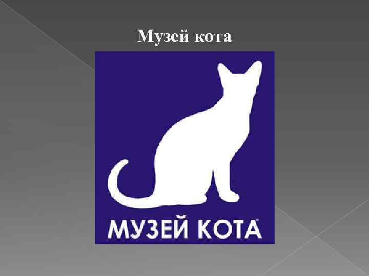 Музей кота 