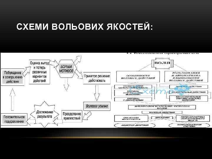 СХЕМИ ВОЛЬОВИХ ЯКОСТЕЙ: 