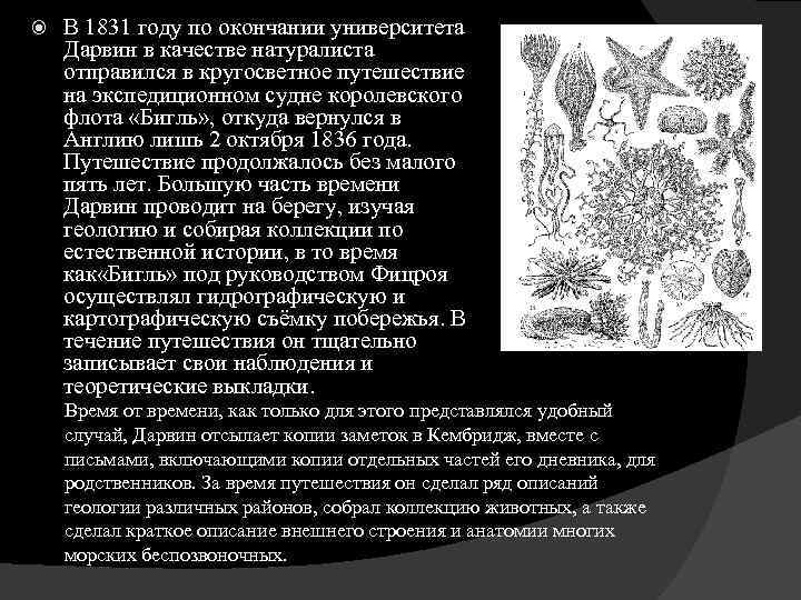  В 1831 году по окончании университета Дарвин в качестве натуралиста отправился в кругосветное