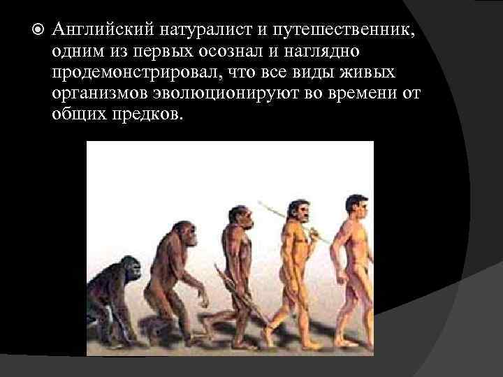  Английский натуралист и путешественник, одним из первых осознал и наглядно продемонстрировал, что все