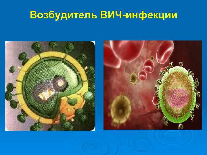 Возбудитель ВИЧ-инфекции 