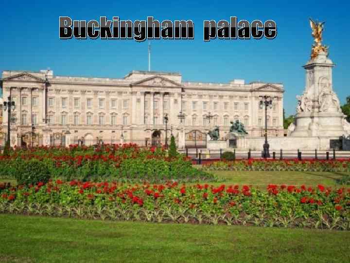 Buckingham palace 