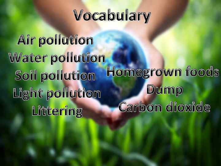 Vocabulary Air pollution Water pollution Homegrown foods Soil pollution Dump Light pollution Carbon dioxide