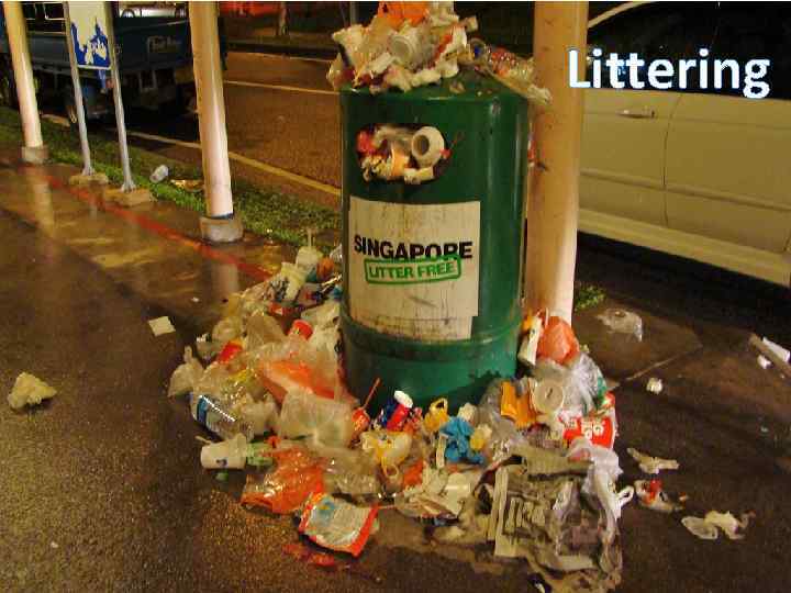 Littering 