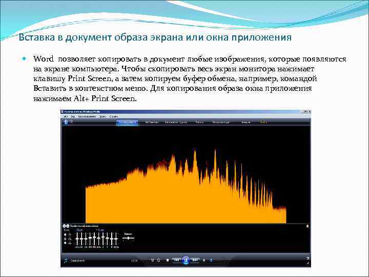 Вставка в документ образа экрана или окна приложения Word позволяет копировать в документ любые