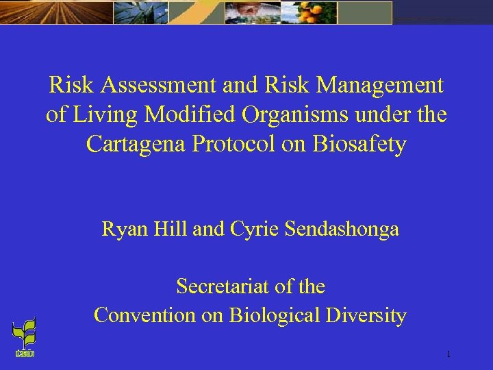 Risk Assessment and Risk Management of Living Modified Organisms under the Cartagena Protocol on