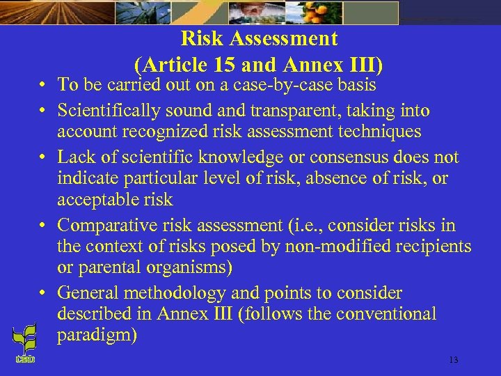 Risk Assessment (Article 15 and Annex III) • To be carried out on a