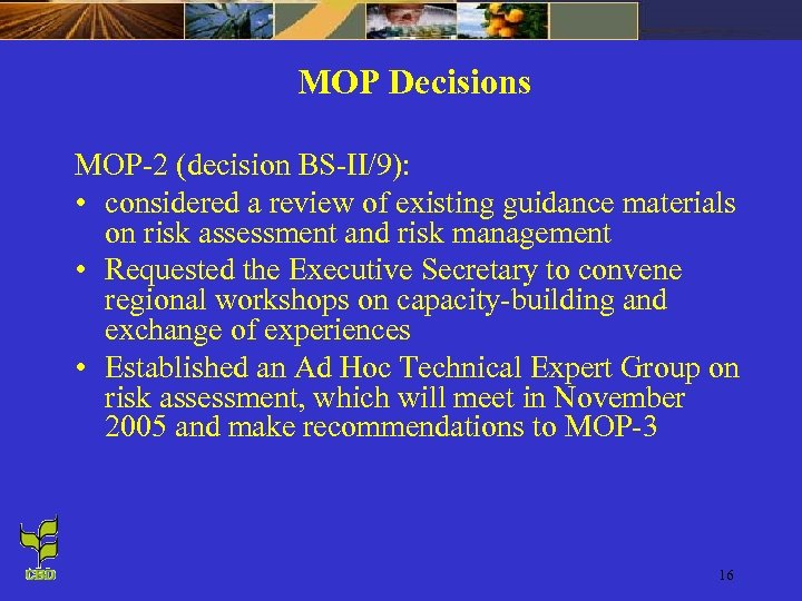 MOP Decisions MOP-2 (decision BS-II/9): • considered a review of existing guidance materials on