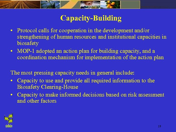 Capacity-Building • Protocol calls for cooperation in the development and/or strengthening of human resources