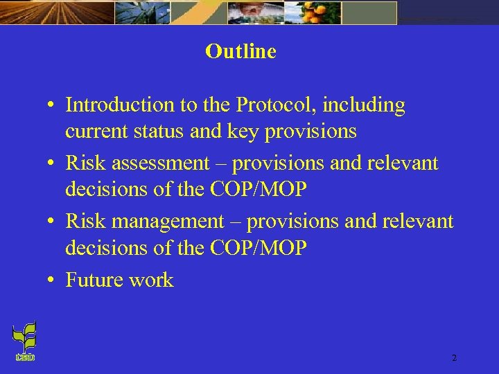 Outline • Introduction to the Protocol, including current status and key provisions • Risk