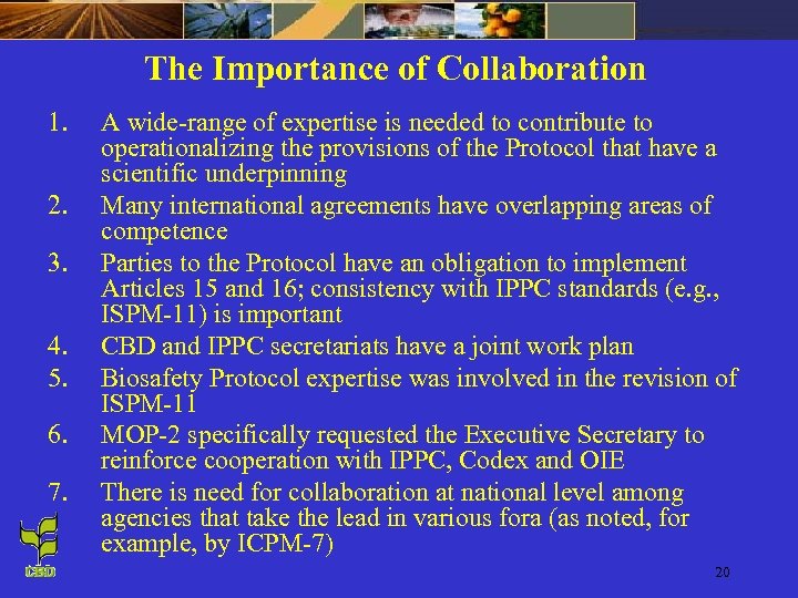 The Importance of Collaboration 1. 2. 3. 4. 5. 6. 7. A wide-range of