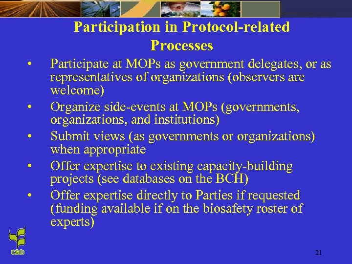 Participation in Protocol-related Processes • • • Participate at MOPs as government delegates, or