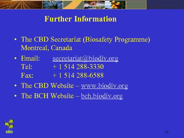 Further Information • The CBD Secretariat (Biosafety Programme) Montreal, Canada • Email: secretariat@biodiv. org