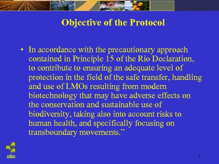 Objective of the Protocol • In accordance with the precautionary approach contained in Principle