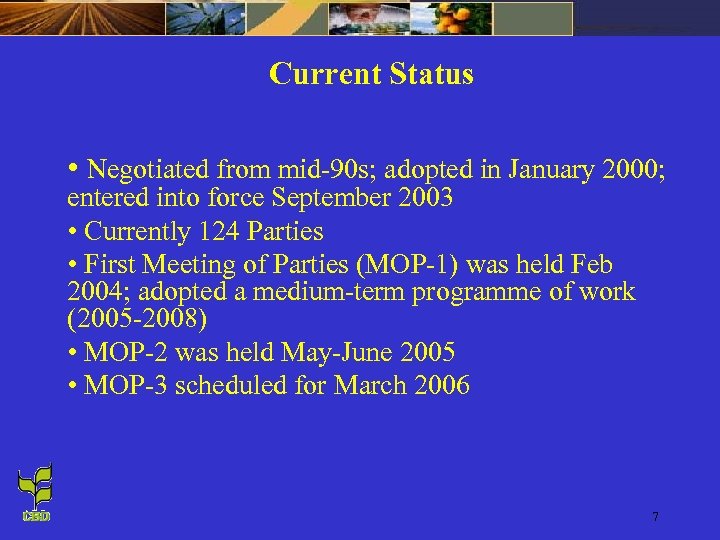 Current Status • Negotiated from mid-90 s; adopted in January 2000; entered into force