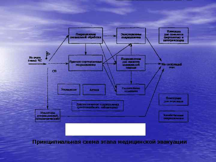 Структура гинекологического стационара схема