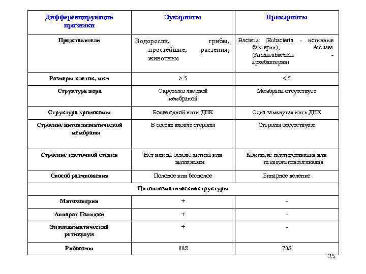 Дифференцирующие признаки Представители Эукариоты Водоросли, простейшие, животные грибы, растения, Прокариоты Bacteria (Eubacteria - истинные