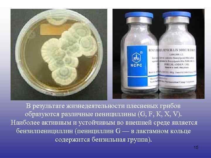 В результате жизнедеятельности плесневых грибов образуются различные пенициллины (G, F, К, X, V). Наиболее