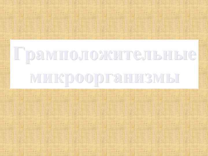 Грамположительные микроорганизмы 