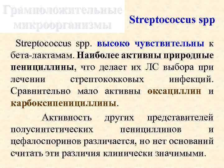 Грамположительные Streptococcus spp микроорганизмы Streptococcus spp. высоко чувствительны к бета-лактамам. Наиболее активны природные пенициллины,