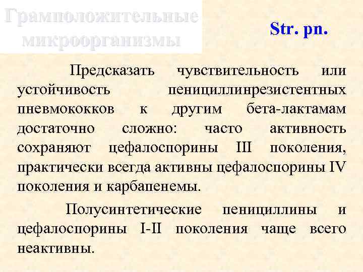 Грамположительные микроорганизмы Str. pn. Предсказать чувствительность или устойчивость пенициллинрезистентных пневмококков к другим бета-лактамам достаточно