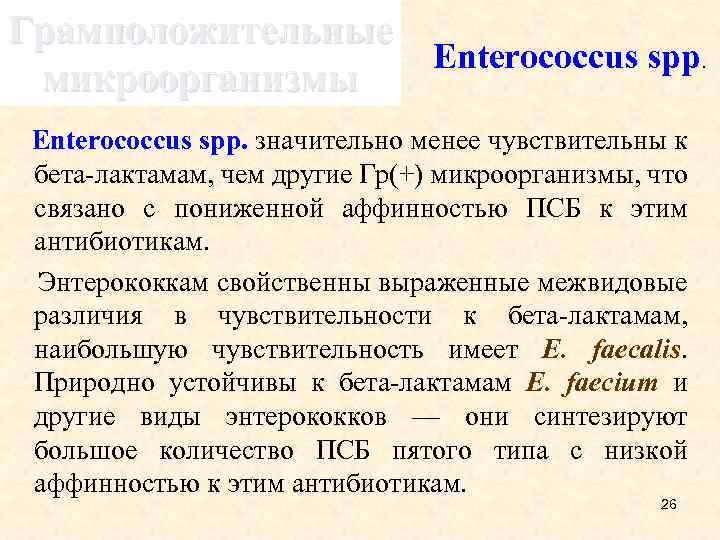 Грамположительные Enterococcus spp. микроорганизмы Enterococcus spp. значительно менее чувствительны к бета-лактамам, чем другие Гр(+)