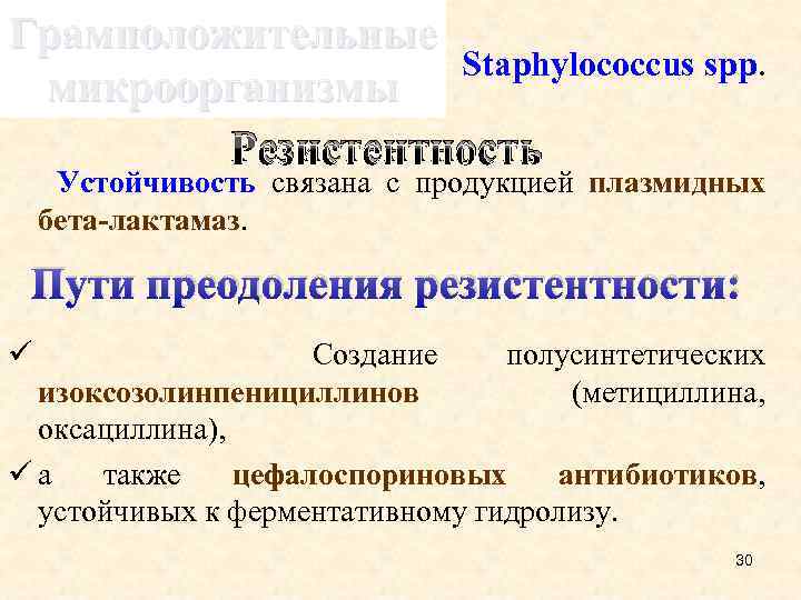 Грамположительные Staphylococcus spp. микроорганизмы Резистентность Устойчивость связана с продукцией плазмидных бета-лактамаз. Пути преодоления резистентности: