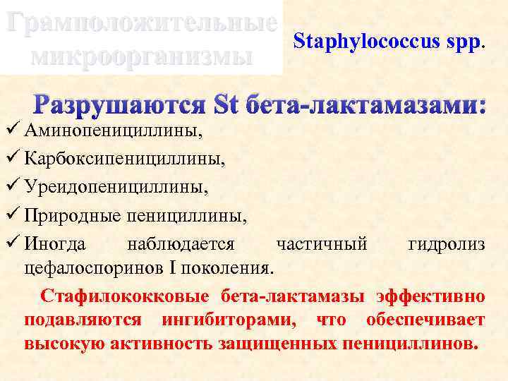 Грамположительные микроорганизмы Staphylococcus spp. Разрушаются St бета-лактамазами: ü Аминопенициллины, ü Карбоксипенициллины, ü Уреидопенициллины, ü