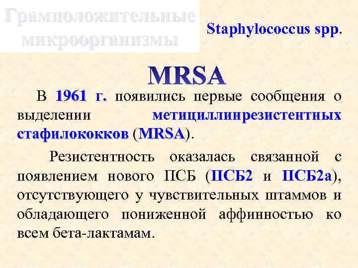 Грамположительные микроорганизмы Staphylococcus spp. В 1961 г. появились первые сообщения о г. выделении метициллинрезистентных