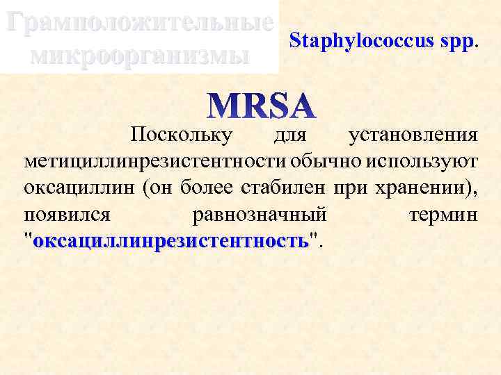 Грамположительные микроорганизмы Staphylococcus spp. Поскольку для установления метициллинрезистентности обычно используют оксациллин (он более стабилен