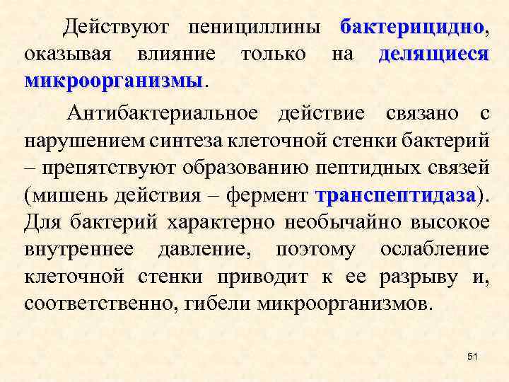  Действуют пенициллины бактерицидно, бактерицидно оказывая влияние только на делящиеся микроорганизмы Антибактериальное действие связано