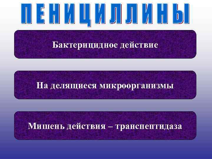 Бактерицидное действие На делящиеся микроорганизмы Мишень действия – транспептидаза 