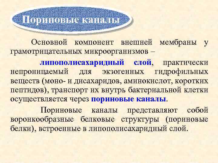Пориновые каналы Основной компонент внешней мембраны у грамотрицательных микроорганизмов – липополисахаридный слой, практически непроницаемый