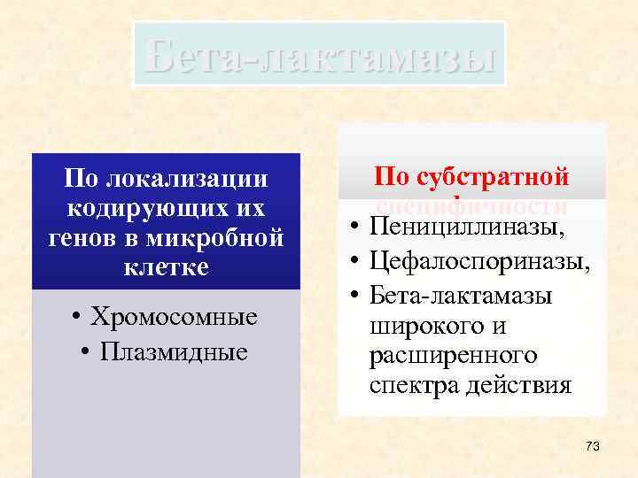 Бета-лактамазы По локализации кодирующих их генов в микробной клетке • Хромосомные • Плазмидные По