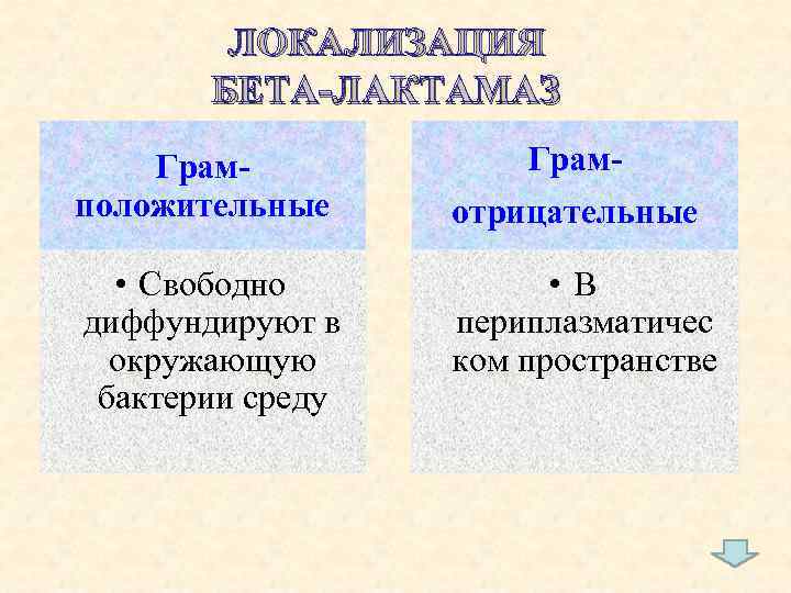 ЛОКАЛИЗАЦИЯ БЕТА-ЛАКТАМАЗ Грамположительные • Свободно диффундируют в окружающую бактерии среду Грамотрицательные • В периплазматичес