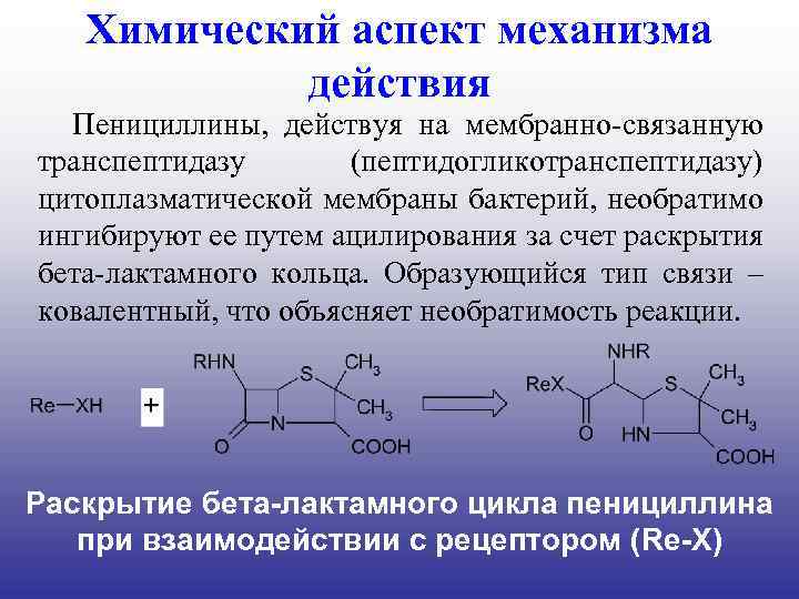 Антибиотики химия 10 класс презентация